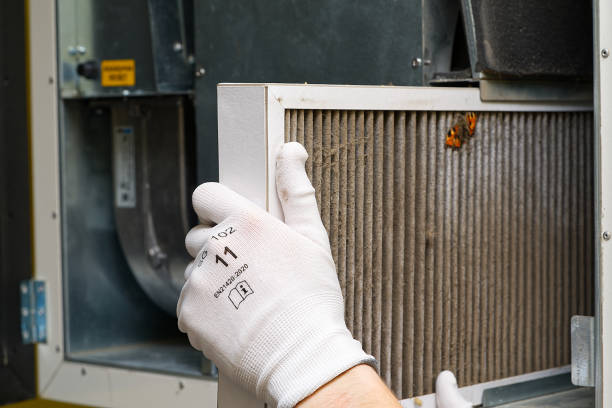 Air Duct Mold Removal in Sylvan Lake, MI